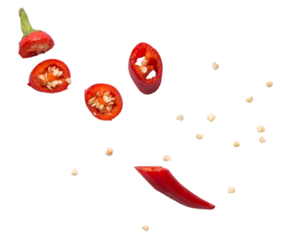 chili pepper chili pepper